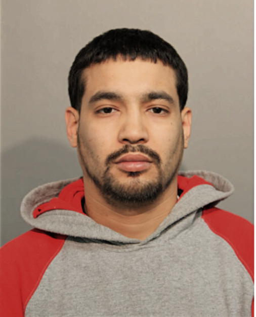 MARIO E HERNANDEZ, Cook County, Illinois