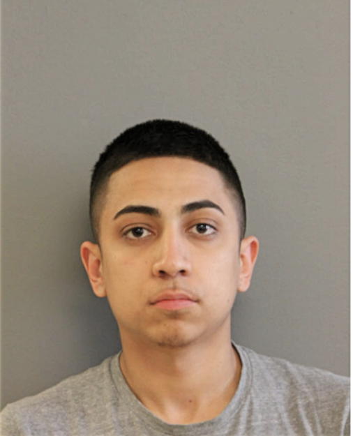 DIEGO HERRERA, Cook County, Illinois