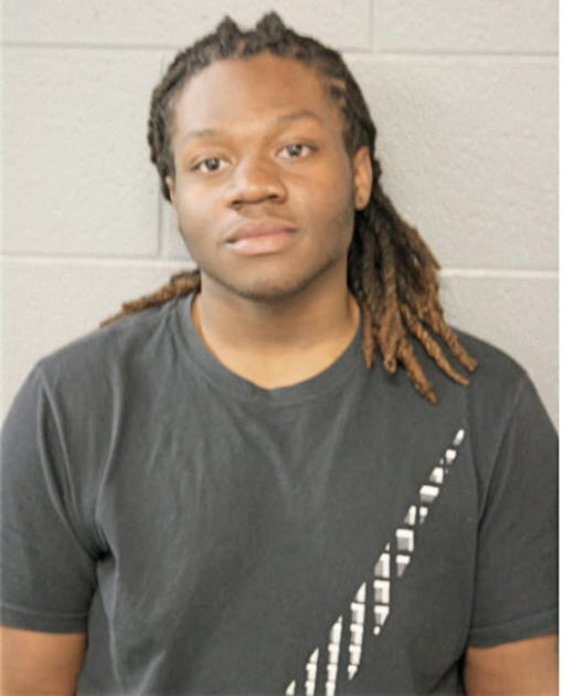 MICHAEL KJ JENKINS, Cook County, Illinois