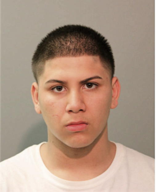 ADRIAN G LARA, Cook County, Illinois