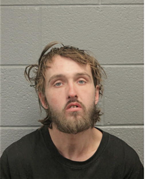 STEVEN A LEESON, Cook County, Illinois