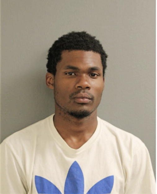 DESMOND J MALLETT, Cook County, Illinois