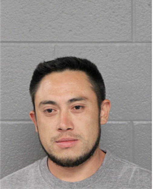 CESAR LOZA MELO, Cook County, Illinois