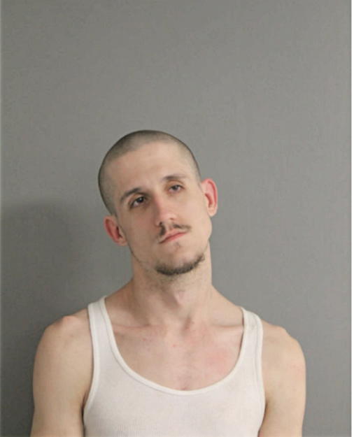 ROBERT ALLEN MIKKELSON, Cook County, Illinois