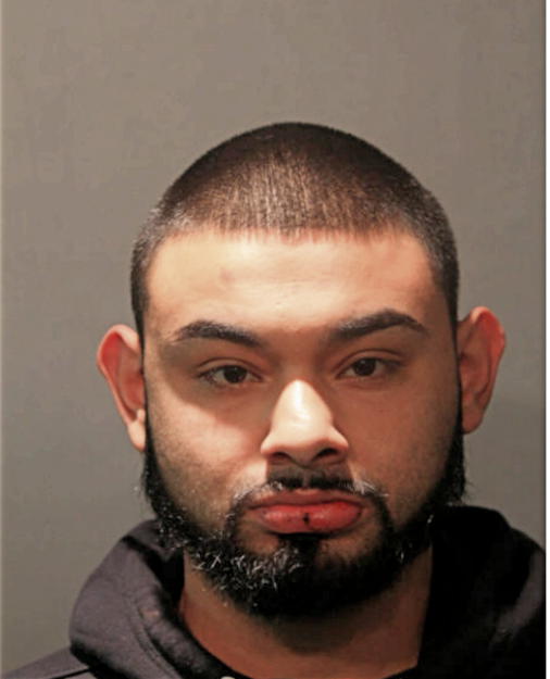 CARLOS MOLINA, Cook County, Illinois