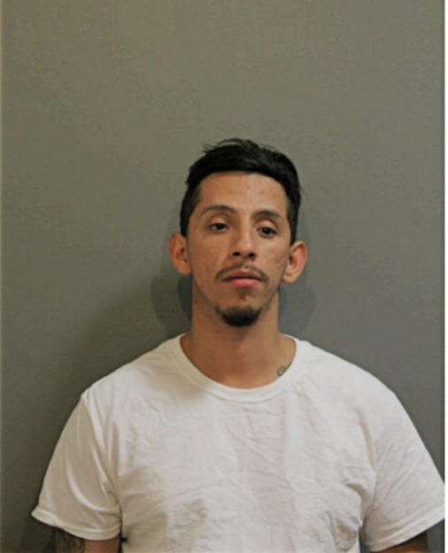 ESTEBAN C ORTIZ, Cook County, Illinois