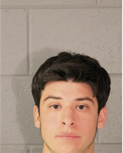 JAVIER PATINO, Cook County, Illinois