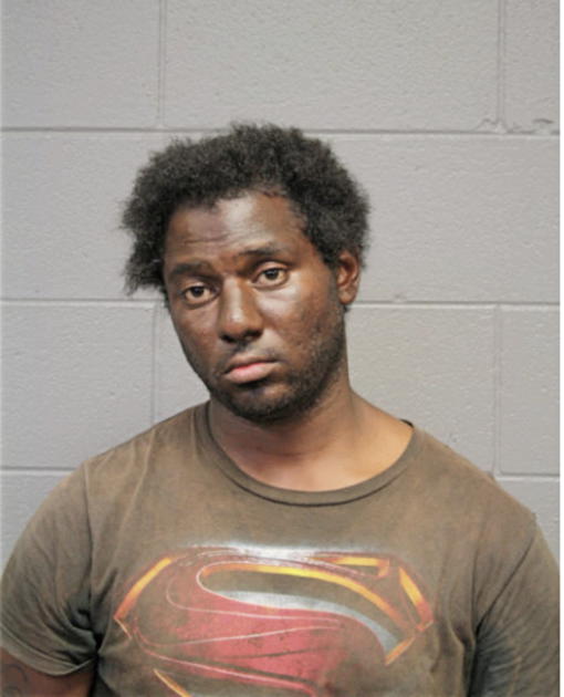 ANDREW C REYNOLDS, Cook County, Illinois