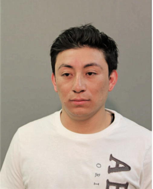ANSELMO ROJAS-GARCIA, Cook County, Illinois