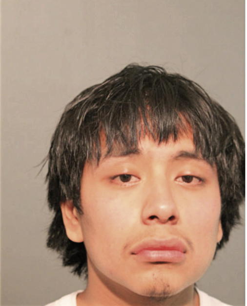 AGUSTIN EMEREGILDO ROSALES, Cook County, Illinois