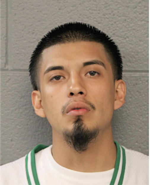 JESUS SALMEON, Cook County, Illinois