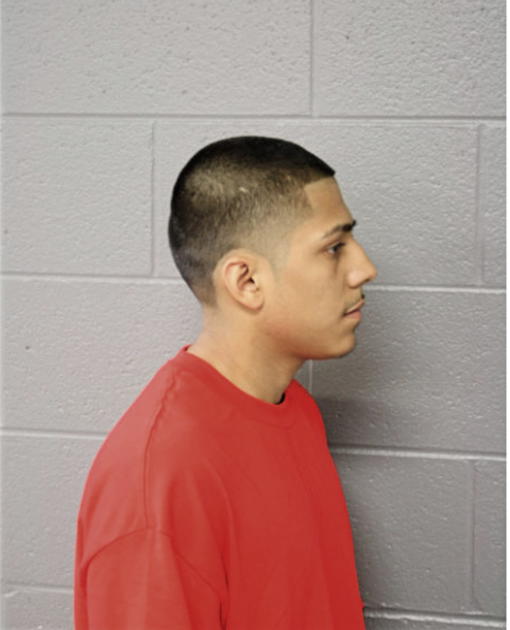 DAVID TORRES, Cook County, Illinois