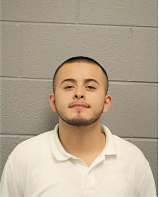 CHRISTOPHER VENEGAS, Cook County, Illinois