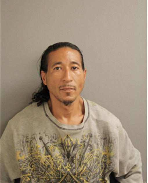 DANIEL VICENTE, Cook County, Illinois