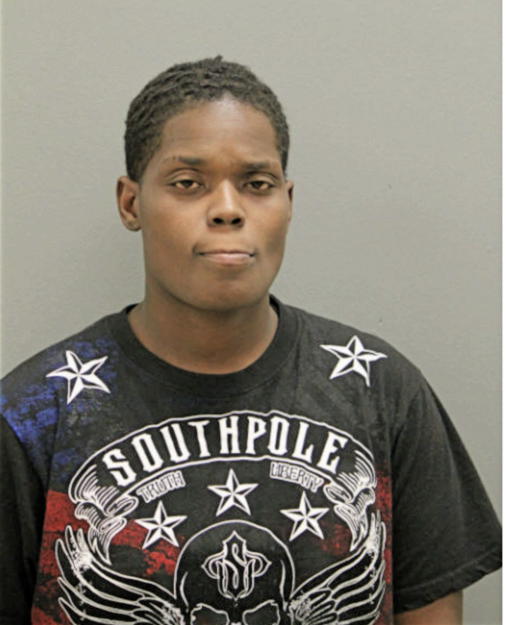 SALEEMA L AMES, Cook County, Illinois