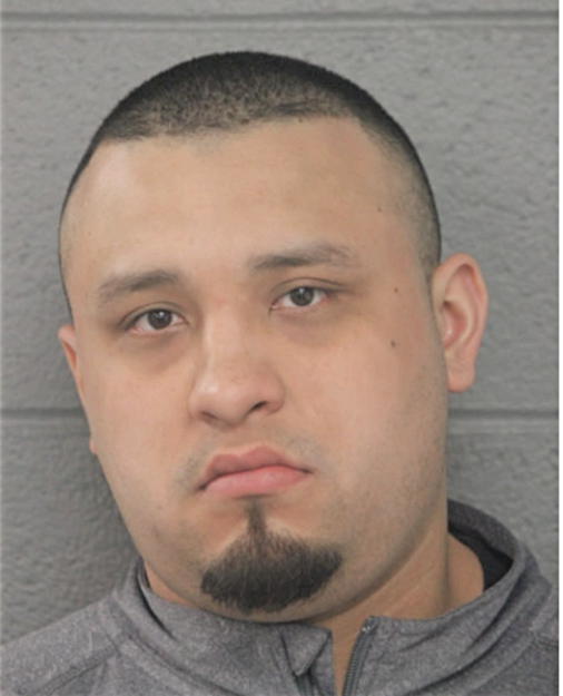 FELIPE ANDRADE, Cook County, Illinois