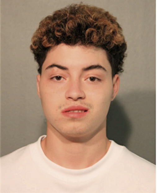 BRAYAN BENAVIDES, Cook County, Illinois