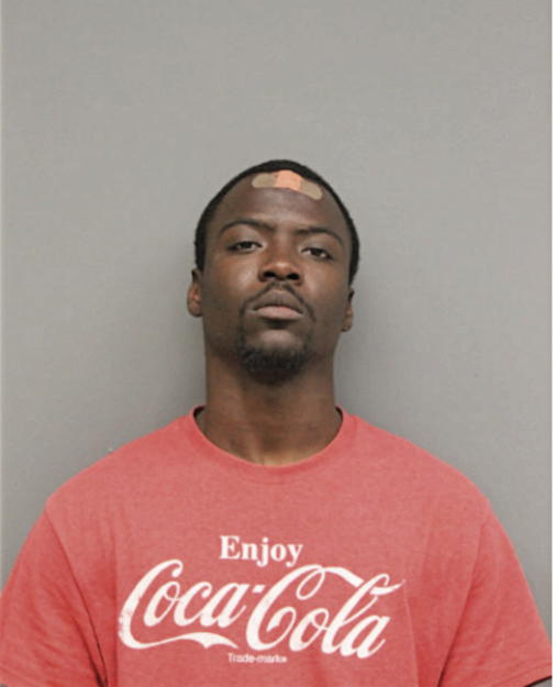 RICHARD L BIBBS, Cook County, Illinois