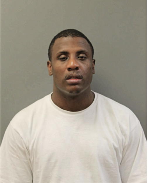 ROBERT P BOVAN, Cook County, Illinois