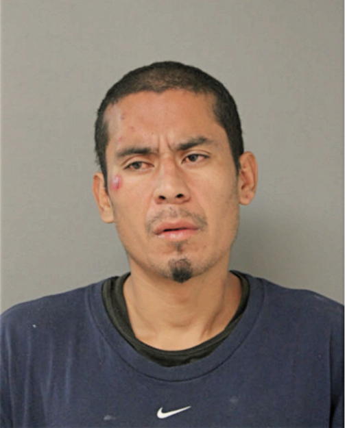 ASHLEY CRUZ-CASTILLO, Cook County, Illinois