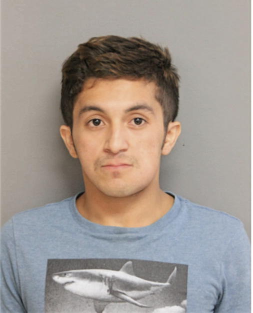 RICARDO CRUZ, Cook County, Illinois