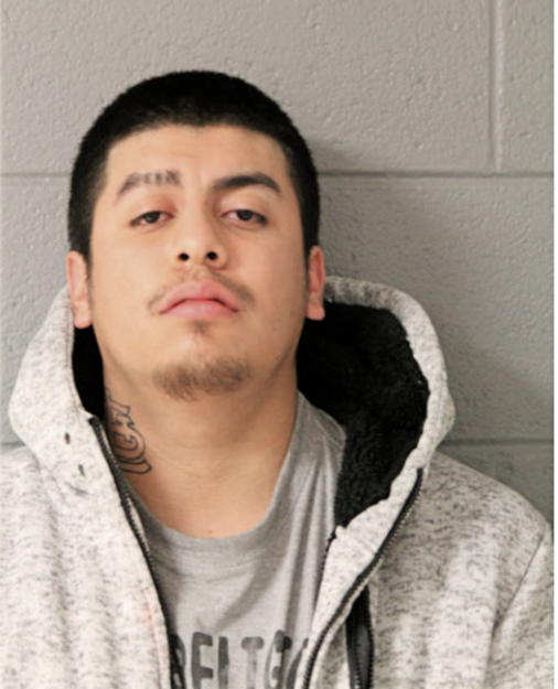 ULISSES DELGADO, Cook County, Illinois