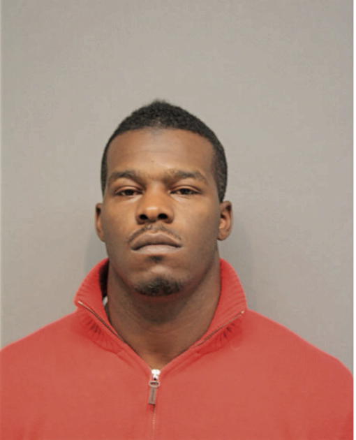 CHRISTOPHER N FLEMING, Cook County, Illinois