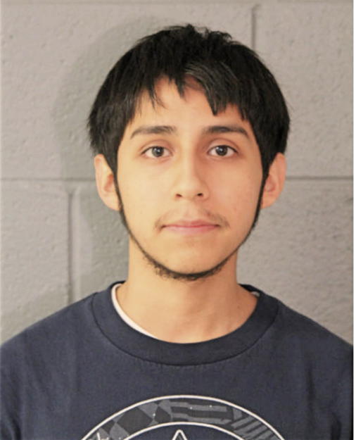MIGUEL A GONZALEZ, Cook County, Illinois