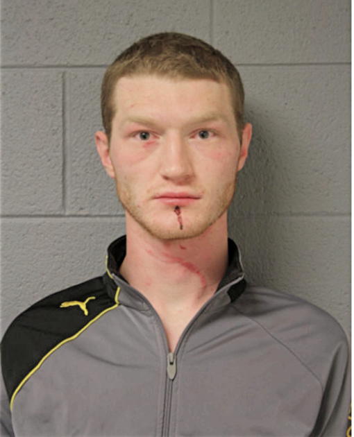 DAVID J GORSKI, Cook County, Illinois