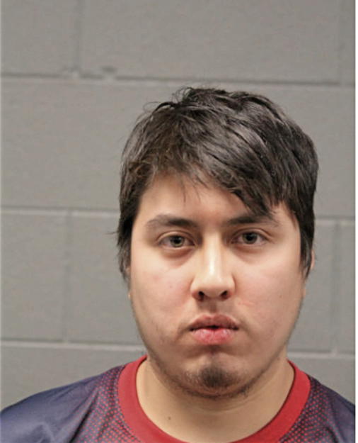 CHRISTIAN A HERRERA, Cook County, Illinois