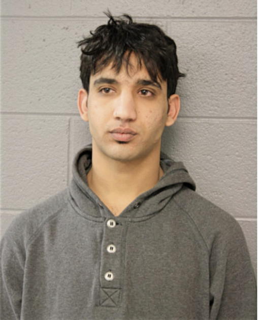 HUSAM E HINDI, Cook County, Illinois