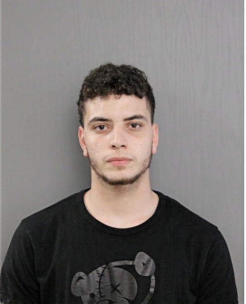 MOHAMMAD R JIBAWI, Cook County, Illinois