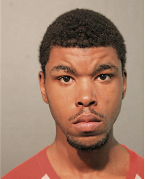 ROGER E LAKES, Cook County, Illinois