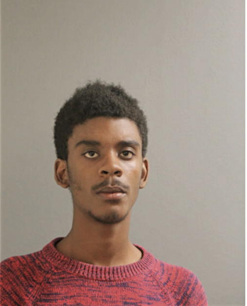 DEANDRE R LEWIS, Cook County, Illinois