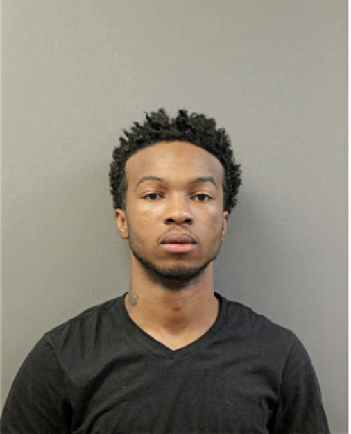 MICHAEL LEWIS, Cook County, Illinois