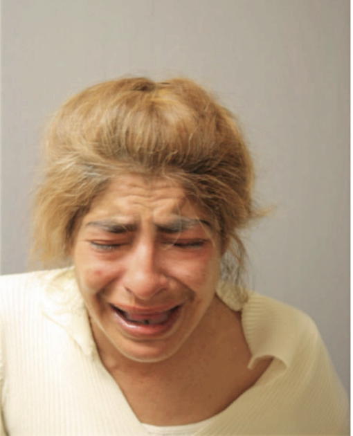 BLANCA E RODRIGUEZ, Cook County, Illinois