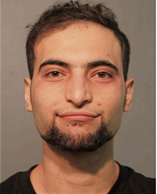 HUSSEIN A S ALZOUBI, Cook County, Illinois