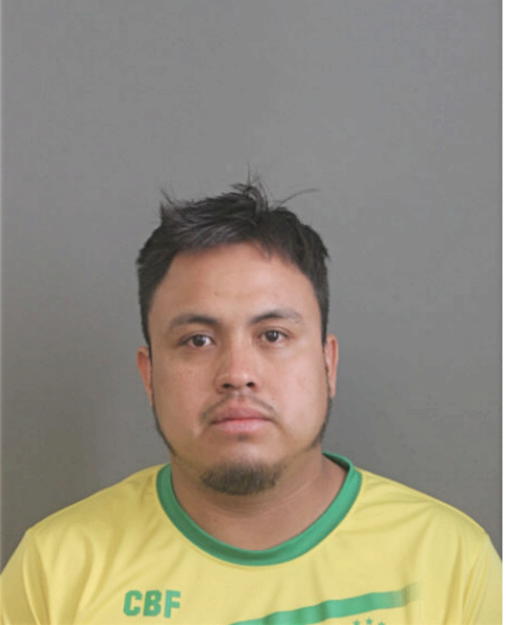 LUIS E SANCHEZ, Cook County, Illinois