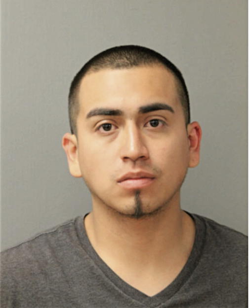 BRYAN SANTOYO, Cook County, Illinois