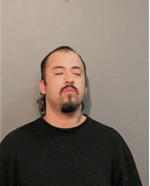 DINO VENEGAS, Cook County, Illinois