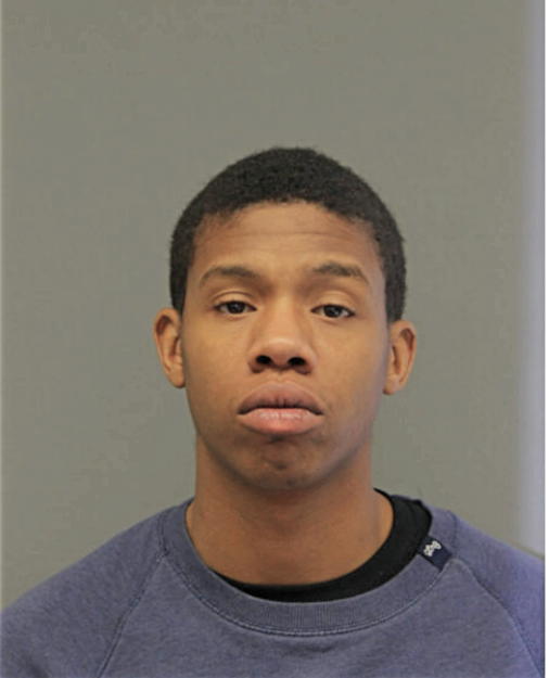 STEPHEN T WILSON, Cook County, Illinois