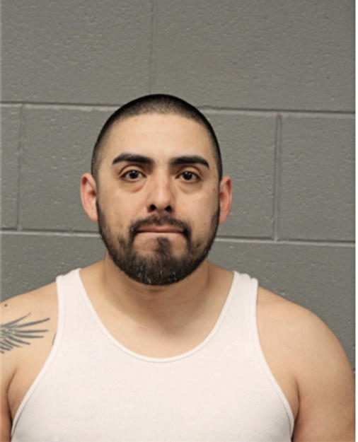 IVAN N ACOSTA, Cook County, Illinois