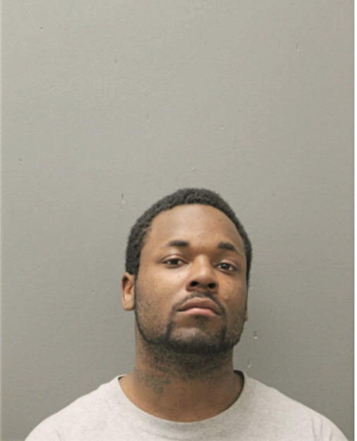 LEONARD E BERGMAN, Cook County, Illinois