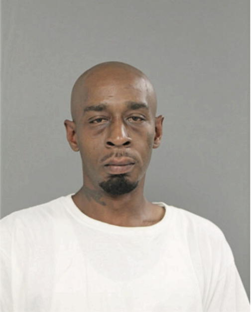 MICHAEL L BLUE, Cook County, Illinois
