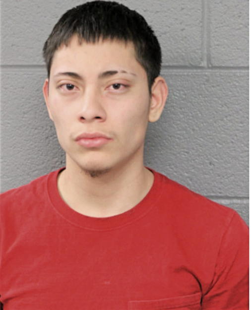 DANIEL DELAPAZ, Cook County, Illinois