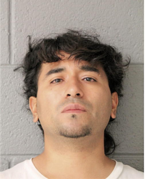 JOSE D FLORES, Cook County, Illinois