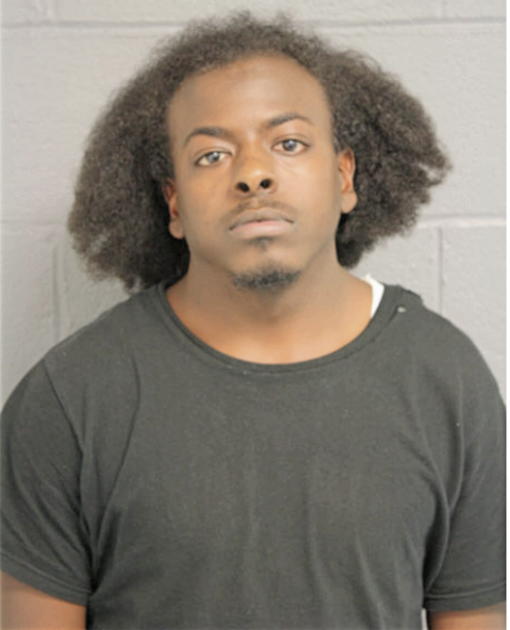 ANDREW T GENTRY, Cook County, Illinois