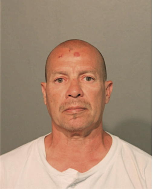 WILSON GONZALEZ, Cook County, Illinois
