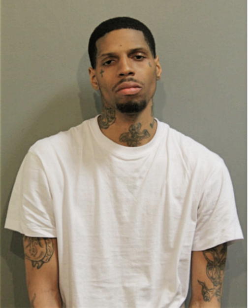 CRAIG V HOLLINSIDE, Cook County, Illinois