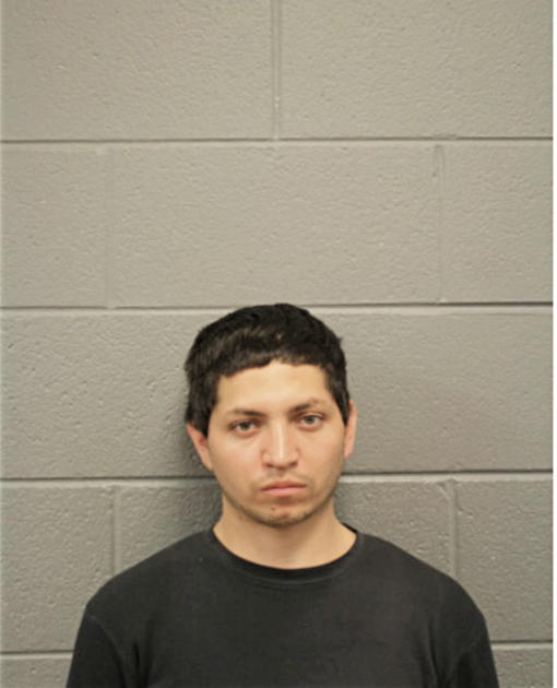 RAUL LEDESMA, Cook County, Illinois